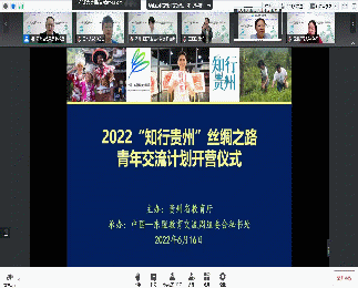 组合 4
